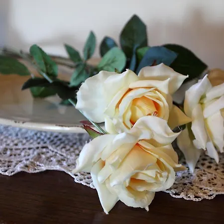 住宿加早餐酒店 Arivellini Vicopisano