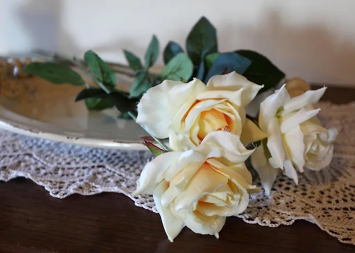 לינה וארוחת בוקר Arivellini Vicopisano