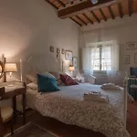 Arivellini * Vicopisano